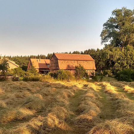 Ziegeleihof inmitten von Wiesen und Wäldern Degenershausen Exterior foto