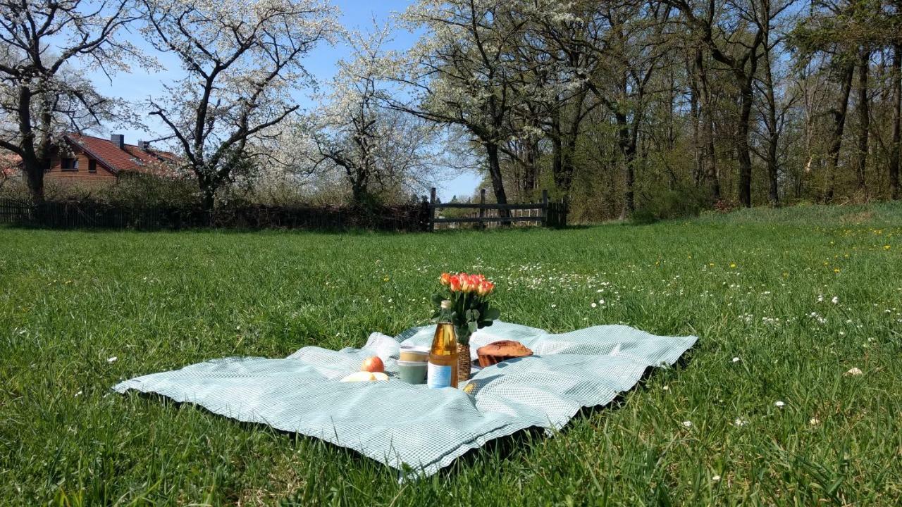 Ziegeleihof inmitten von Wiesen und Wäldern Degenershausen Exterior foto