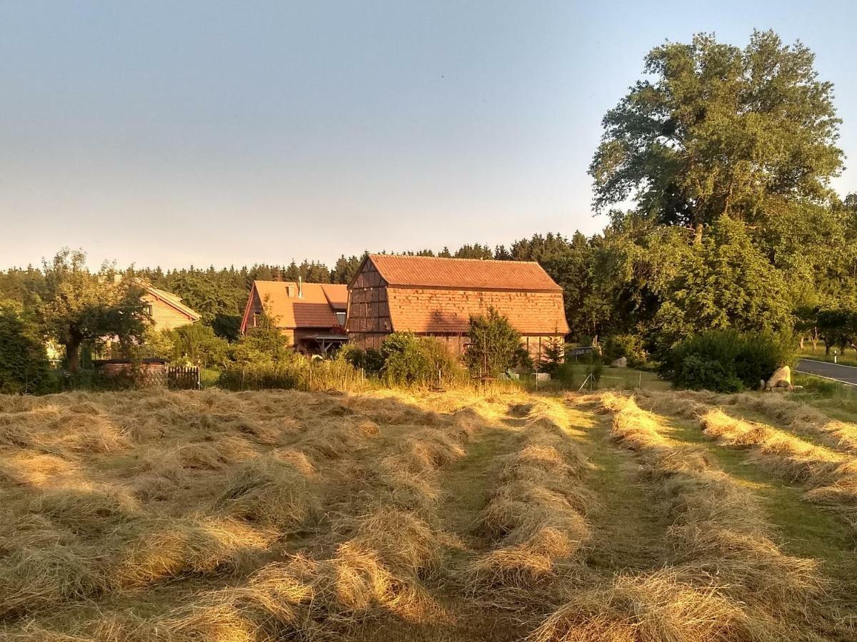 Ziegeleihof inmitten von Wiesen und Wäldern Degenershausen Exterior foto